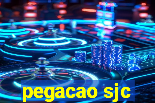 pegacao sjc